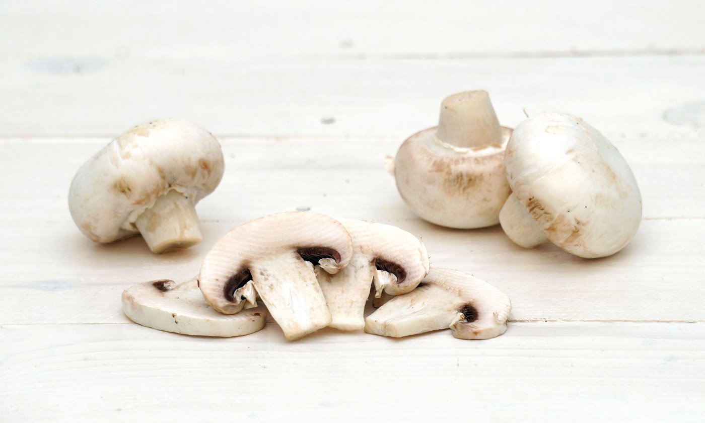 Funghi champignon in olio